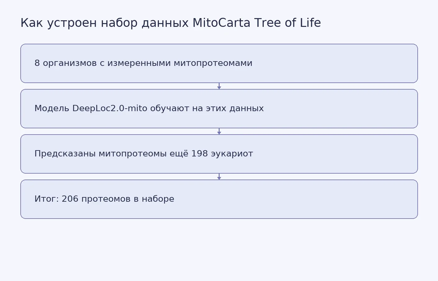 Схема показывает путь данных: восемь экспериментально описанных митопротеомов служат основой для обучения модели DeepLoc2.0-mito, которая затем предсказывает митопротеомы ещё 198 эукариот, всего 206 протеомов.