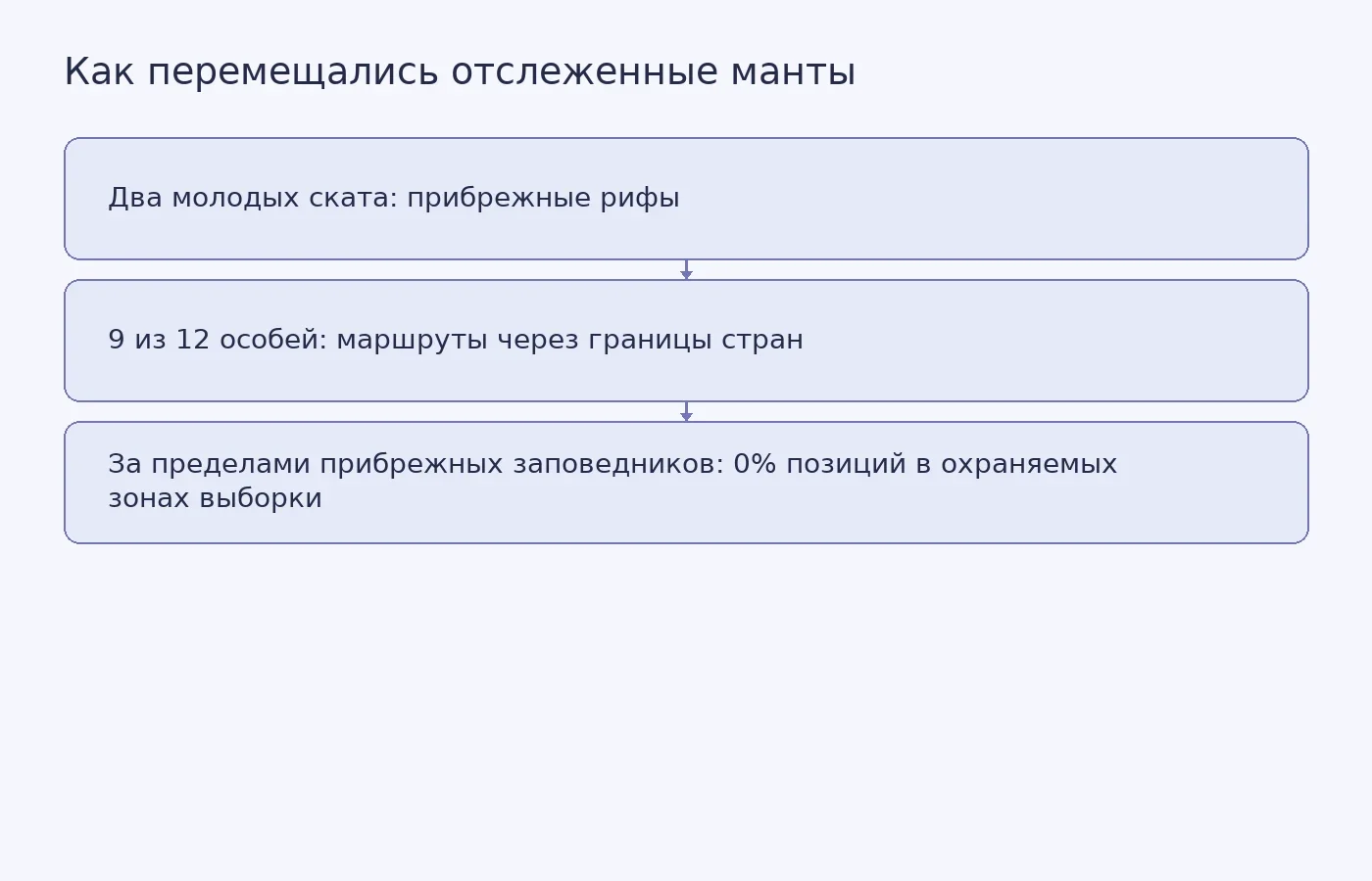 Схема сравнивает перемещения двух молодых отслеженных скатов у побережья с трансграничными маршрутами взрослых; показатель 0% относится к спутниковым позициям за пределами прибрежных заповедников в этой выборке.