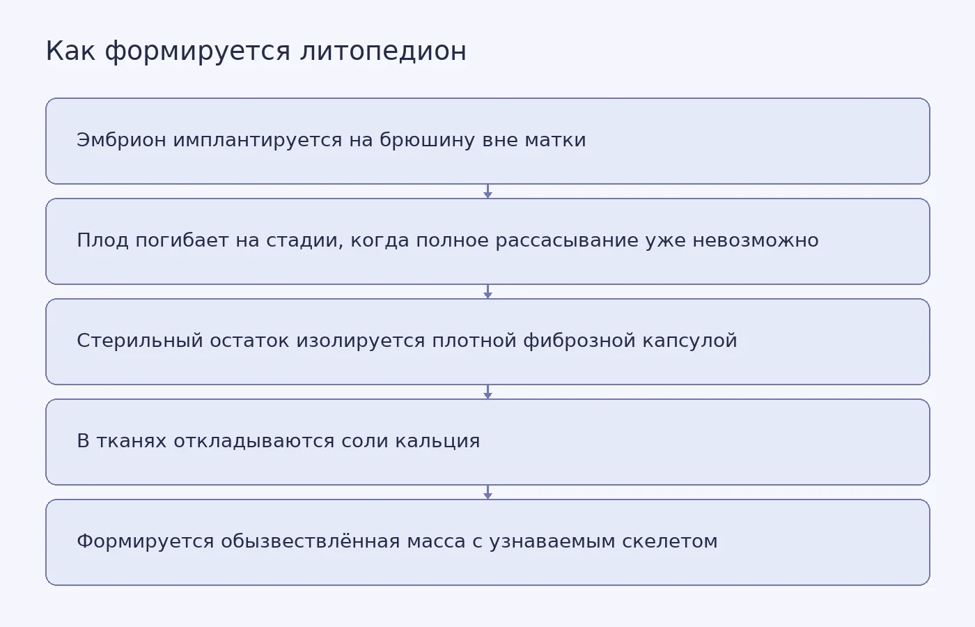 Схема последовательности событий от абдоминальной имплантации до обызвествления погибшего плода; она объясняет предполагаемый механизм, а не показывает данные конкретной пациентки.