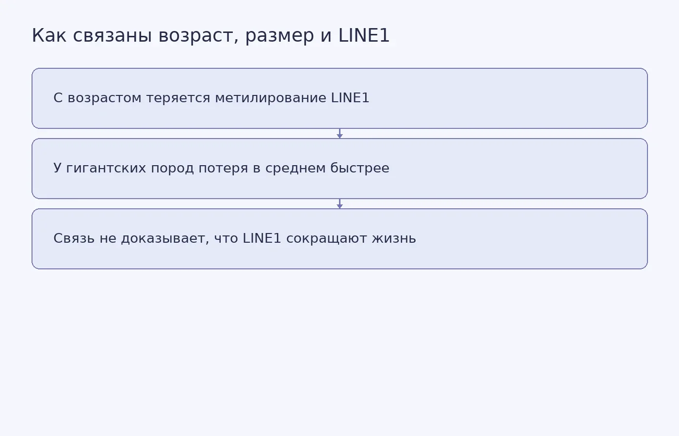 Схема показывает связь между возрастом собак, потерей метилирования LINE1 и размером породы, а также ограничение причинного вывода.