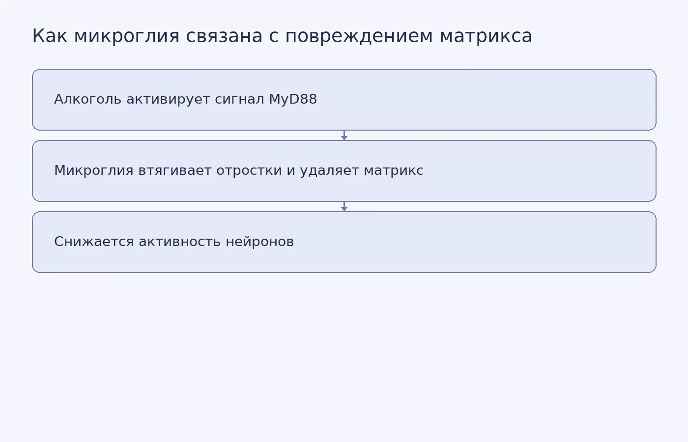 Концептуальная схема предполагаемой последовательности изменений в эксперименте и вмешательства с удалением MyD88 до воздействия алкоголя