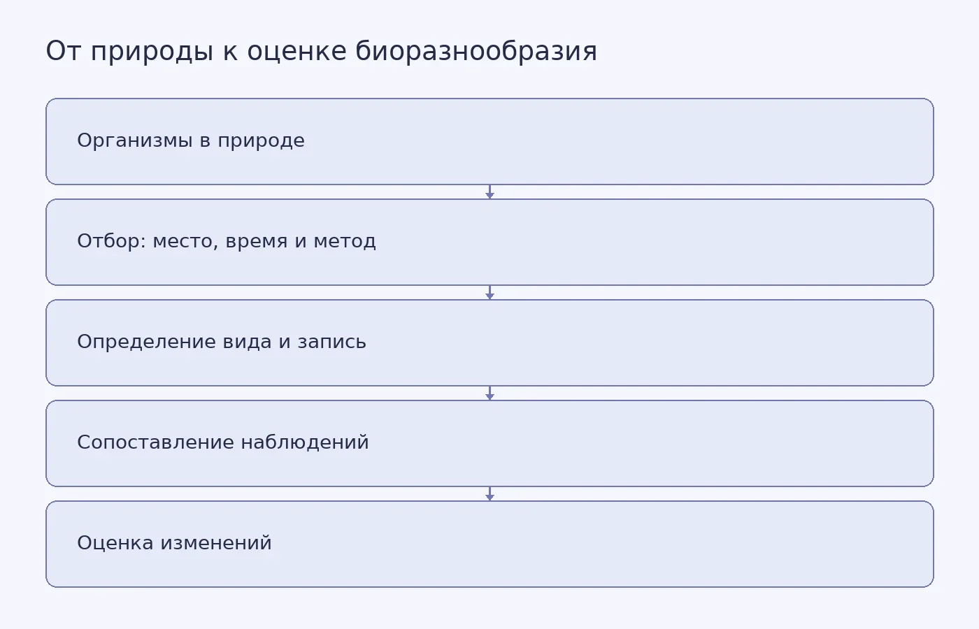 Схема показывает, что оценка изменений биоразнообразия зависит от отбора организмов, точности определения видов и сопоставимости данных.