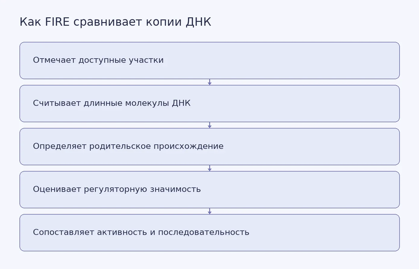 Схема показывает этапы анализа FIRE и поясняет, что совпадение последовательностей в изученном участке не устанавливает причину различий регуляции.