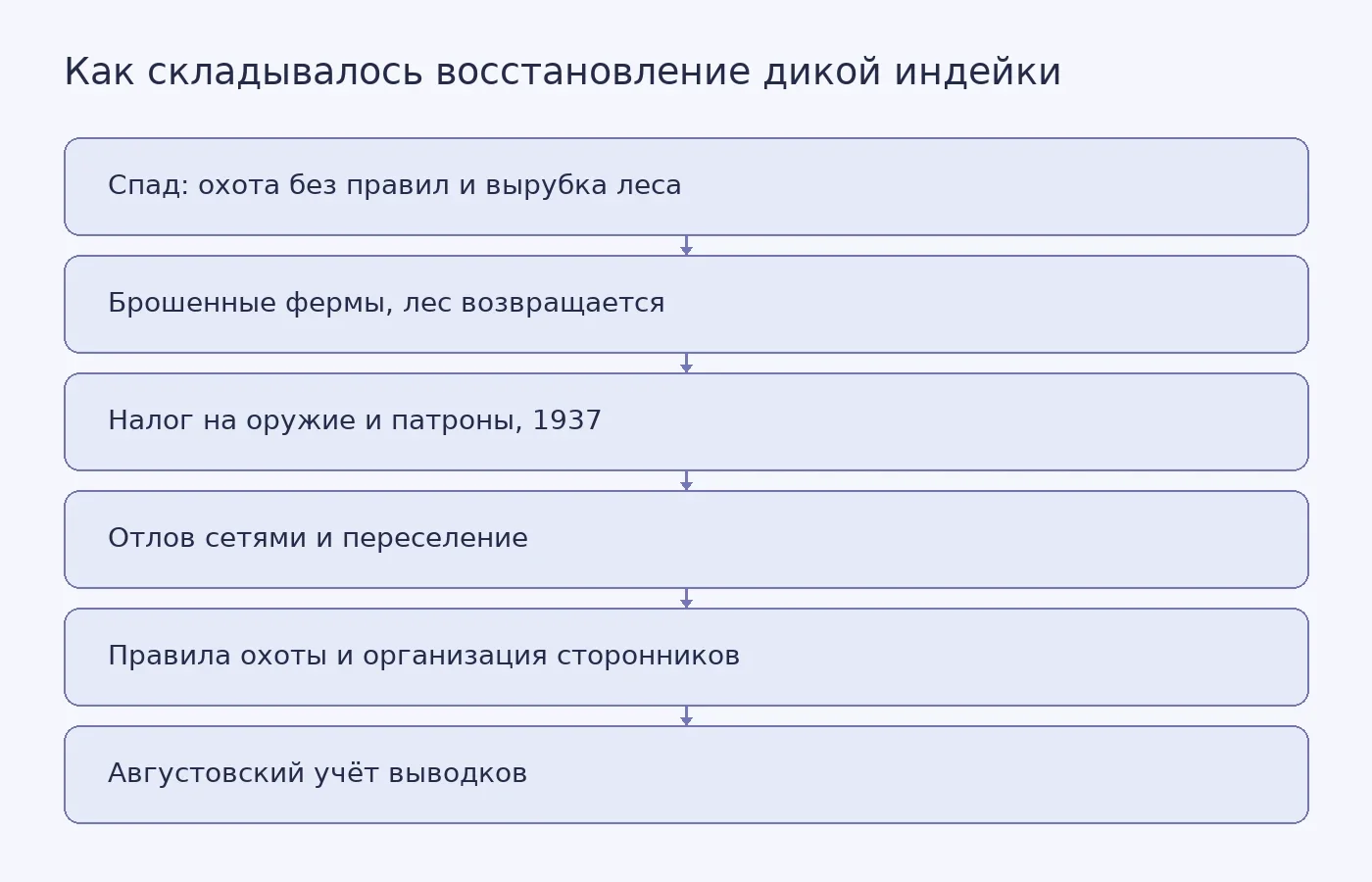 Схема показывает последовательность звеньев восстановления вида: спад из-за охоты и потери леса, возвращение леса на заброшенных фермах, целевое финансирование с 1937 года, отлов и переселение птиц, охотничьи правила и организация сторонников, ежегодный учёт выводков. Схема объясняет, как звенья связаны, но не доказывает вклад каждого из них.