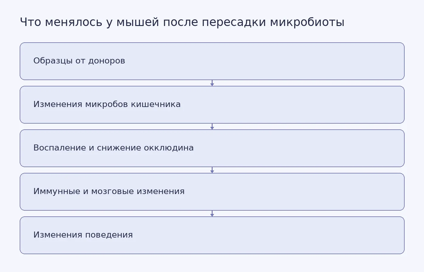 Концептуальная схема наблюдавшихся у мышей изменений после получения микробиоты от людей с шизофренией; она не показывает доказанную причинную последовательность