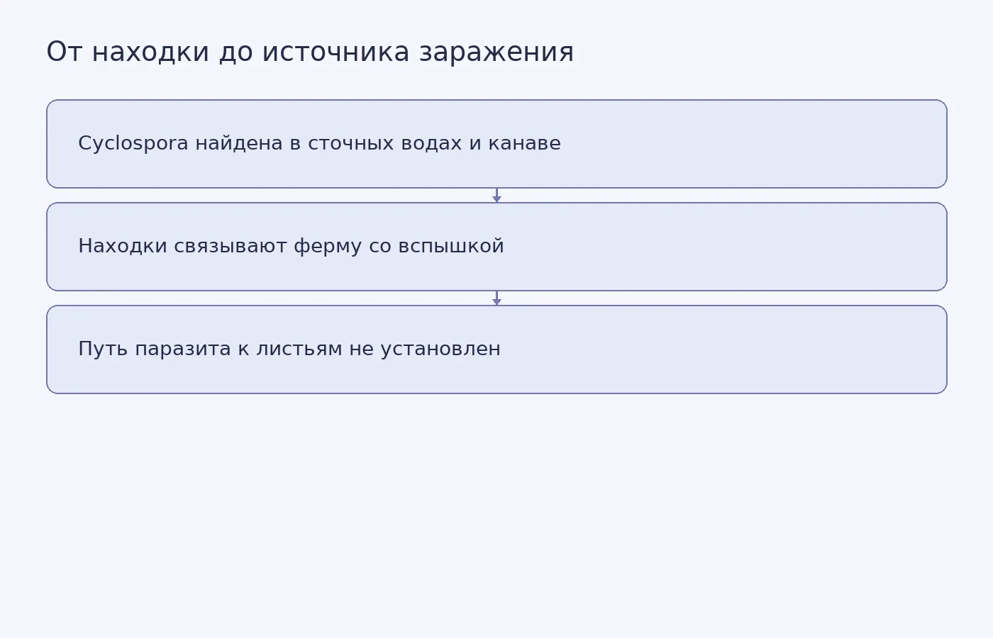 Схема показывает, что обнаружение Cyclospora в среде фермы поддерживает связь площадки со вспышкой, но не доказывает перенос паразита на салат.