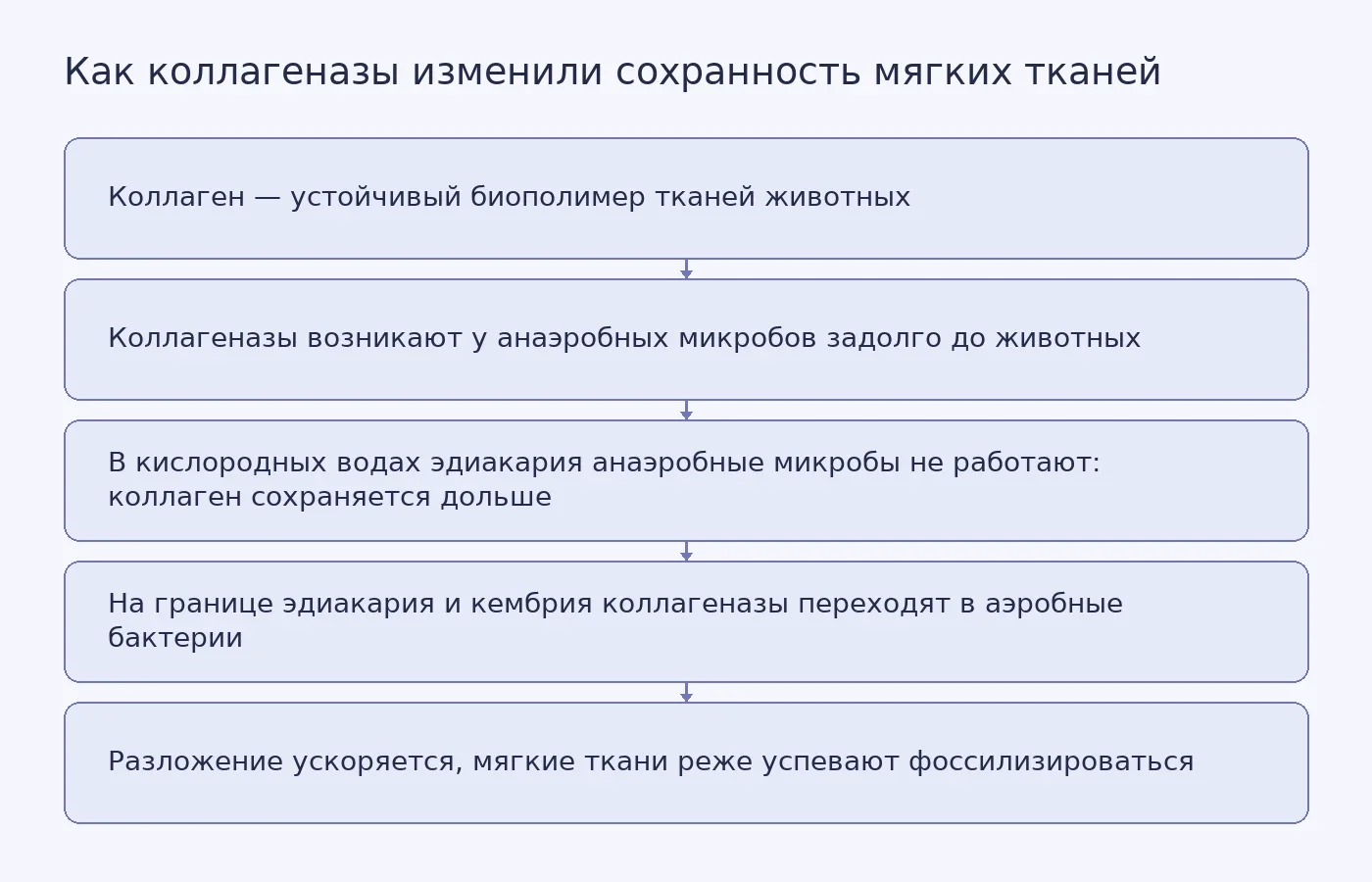 Схема показывает, как появление коллагеназ у анаэробных микробов, а затем их переход в аэробные бактерии на границе эдиакария и кембрия связаны с изменением сохранности мягких тканей в палеонтологической летописи.