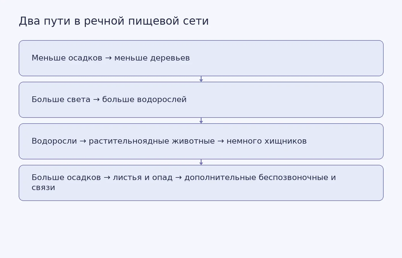 Концептуальная схема показывает, как количество осадков связано с ресурсами у основания пищевых сетей и их сложностью в изученных реках Южного Техаса.