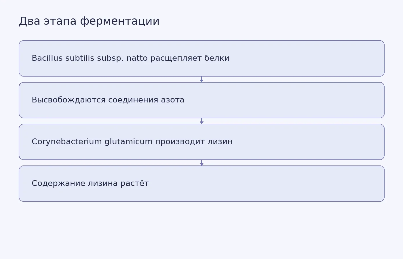 Схема показывает последовательность двух стадий ферментации растительного сырья и роль каждого микроорганизма.