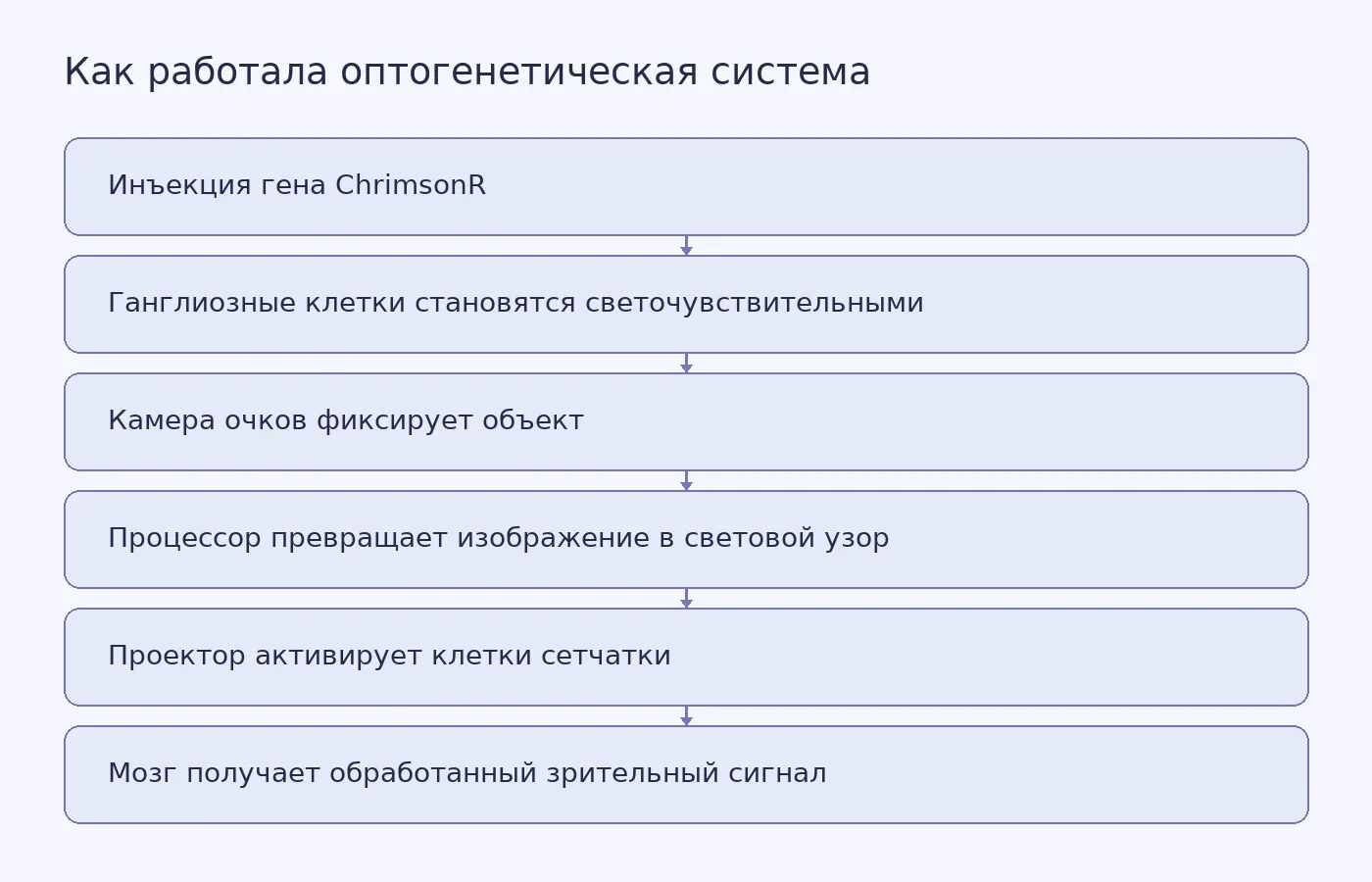 Схема показывает путь сигнала от камеры специальных очков через процессор и модифицированные клетки сетчатки к зрительной коре мозга.