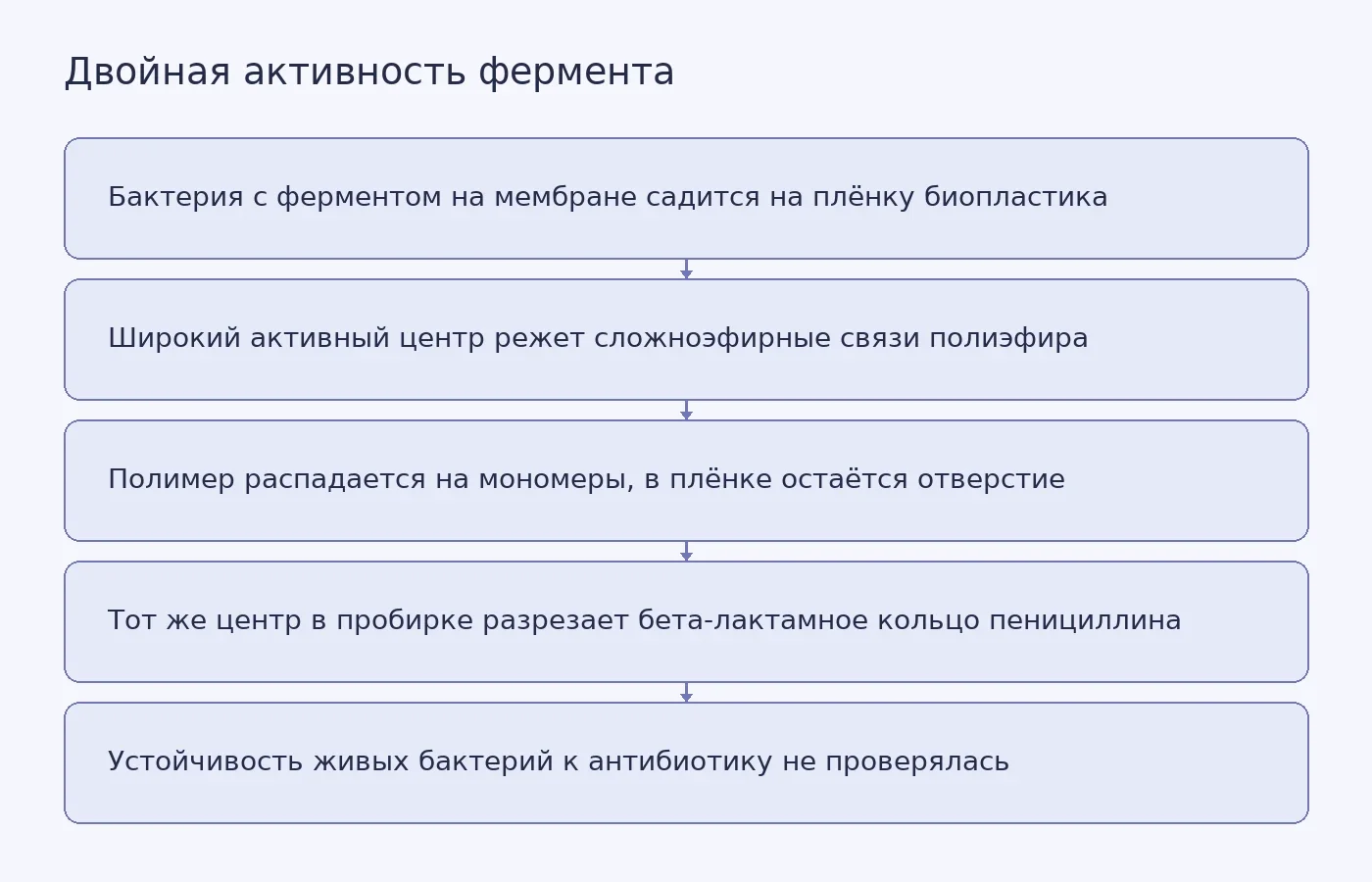 Схема показывает, как фермент на поверхности бактерии расщепляет полиэфирные связи биопластика и как его активный центр в лабораторных условиях разрезает бета-лактамное кольцо пенициллина, при этом влияние на устойчивость живых бактерий остаётся непроверенным