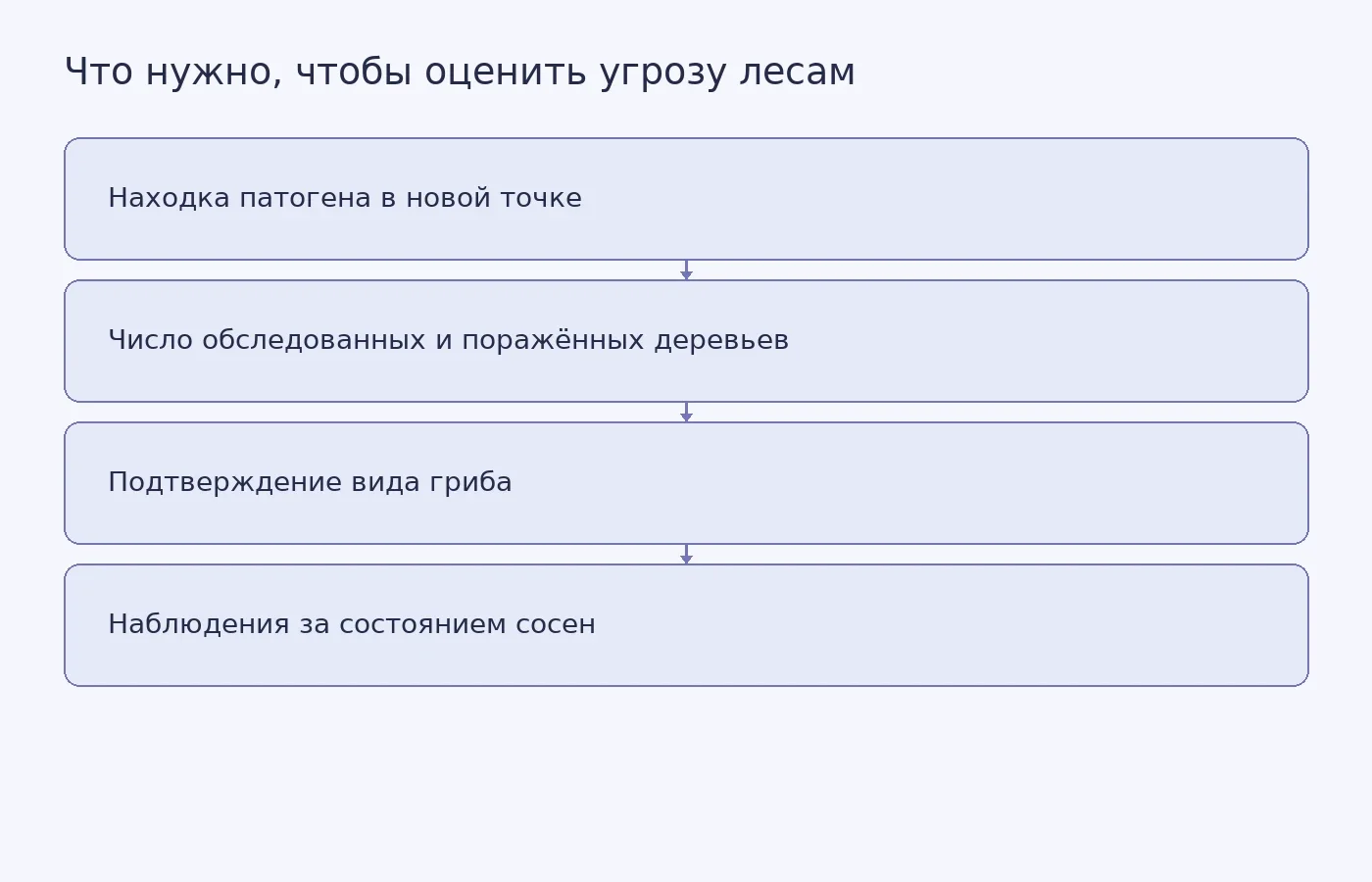 Схема показывает путь от единичной находки патогена к оценке его влияния на леса: без данных о выборке и повторных наблюдений вывод о масштабе сделать нельзя.