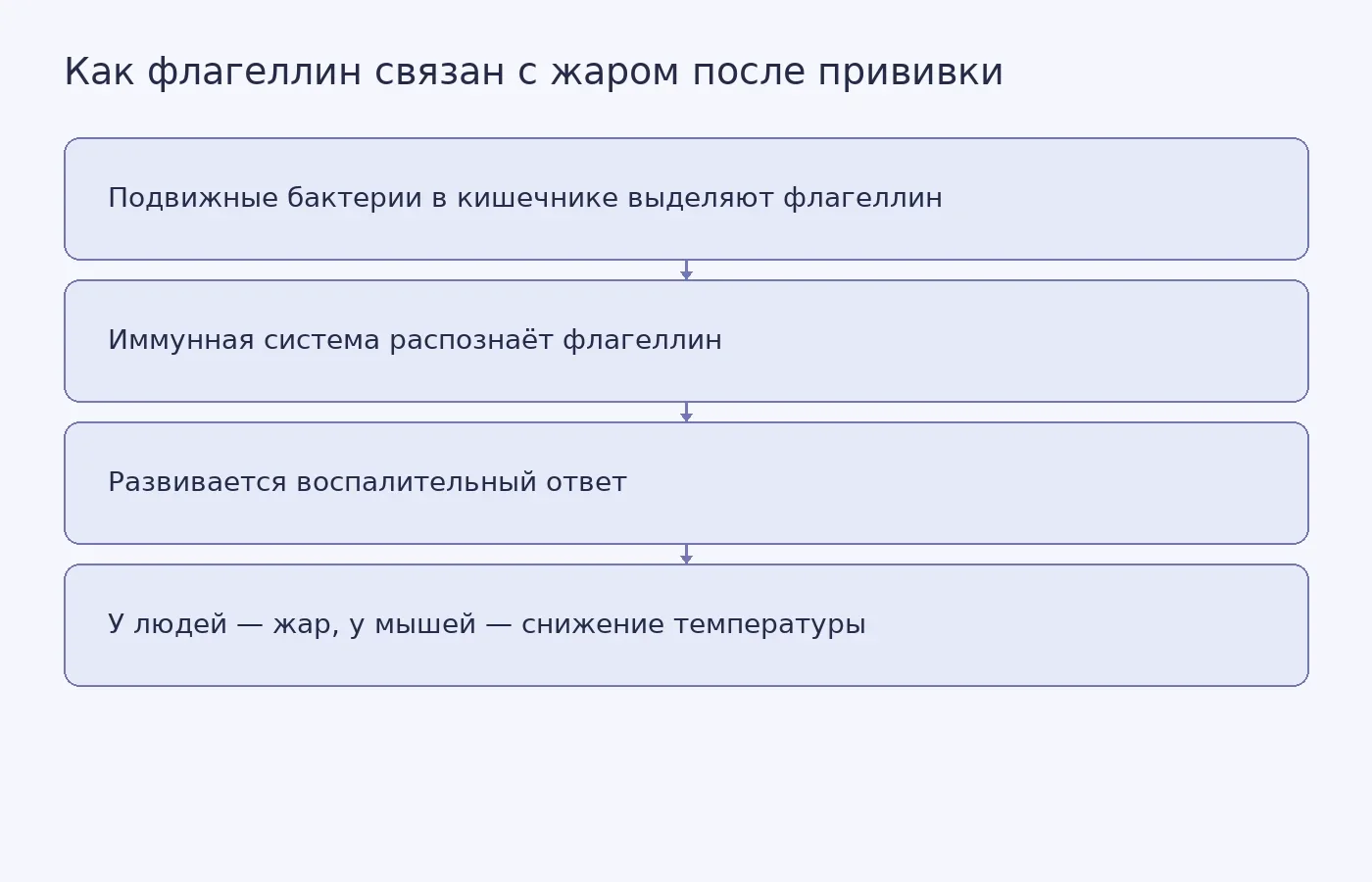 Схема показывает путь от флагеллина подвижных кишечных бактерий через распознавание иммунной системой к температурной реакции
