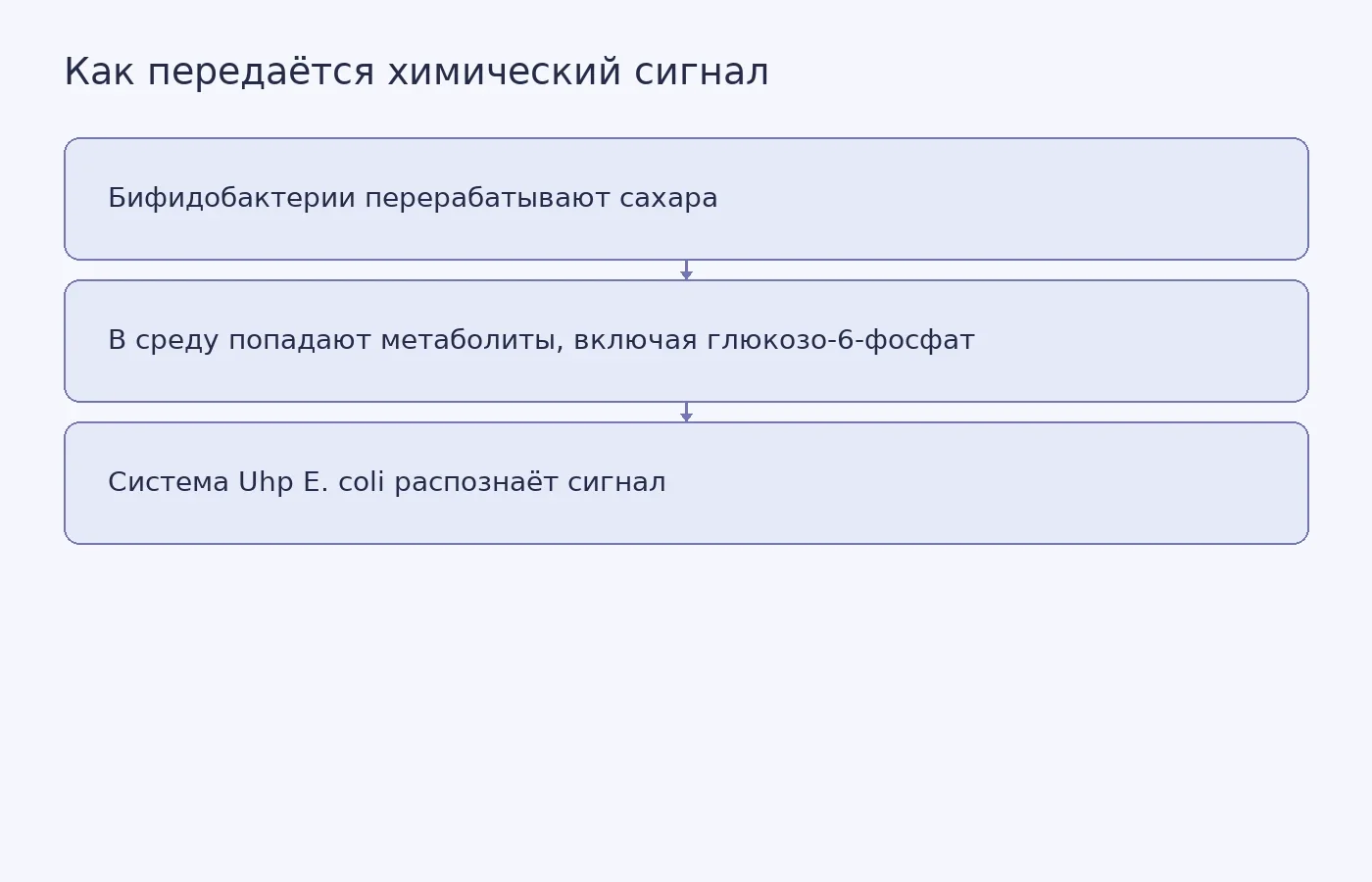Схема лабораторно изученного механизма: выделение метаболитов бифидобактериями и реакция системы Uhp кишечной палочки