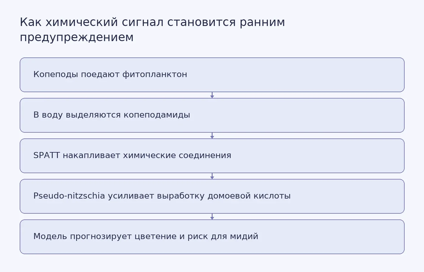 Схема связи между питанием копеподов, выделением копеподамидов, реакцией Pseudo-nitzschia и прогнозом загрязнения мидий