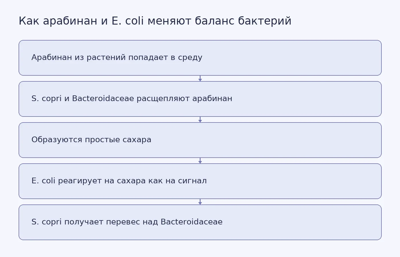 Схема показывает, что преимущество Segatella copri при арабинане зависит от присутствия кишечной палочки, которая реагирует на продукты расщепления углевода