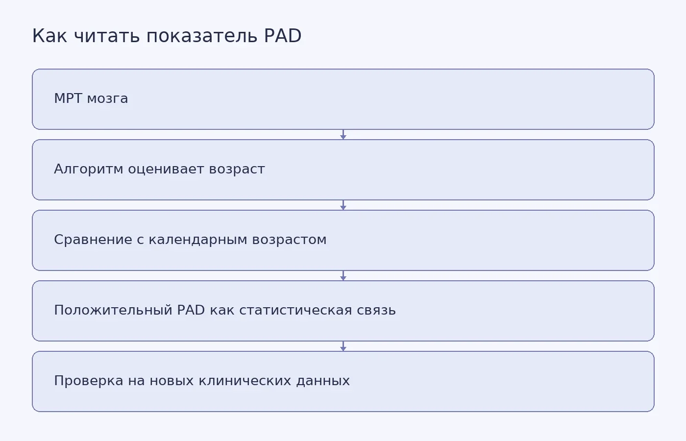 Схема показывает, как по структурной МРТ рассчитывают разницу между предсказанным и календарным возрастом мозга и почему она требует дополнительной клинической проверки.