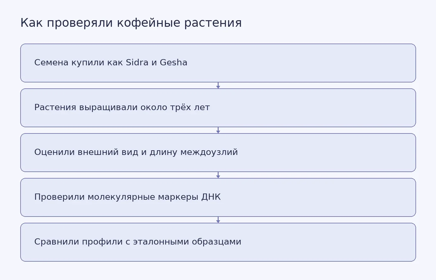 Схема показывает проверку кофейных растений: от коммерческой маркировки семян и оценки внешних признаков до сравнения генетических профилей с эталонами.