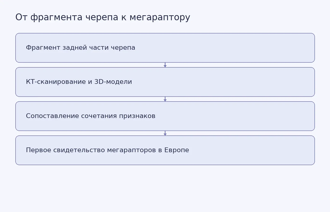 Схема показывает, как исследователи изучили фрагмент черепа и отнесли его к мегарапторам; находка поддерживает гипотезу миграции через Европу, но не доказывает полный маршрут.