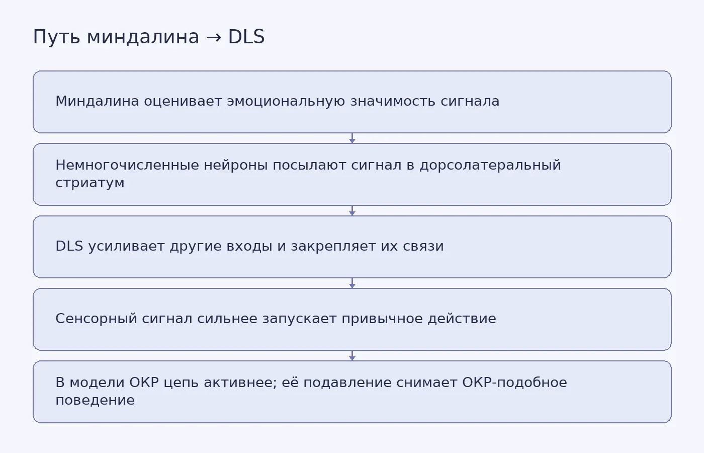 Схема показывает, как сигнал из миндалины усиливает входы в дорсолатеральный стриатум и закрепляет связь сенсорного сигнала с действием