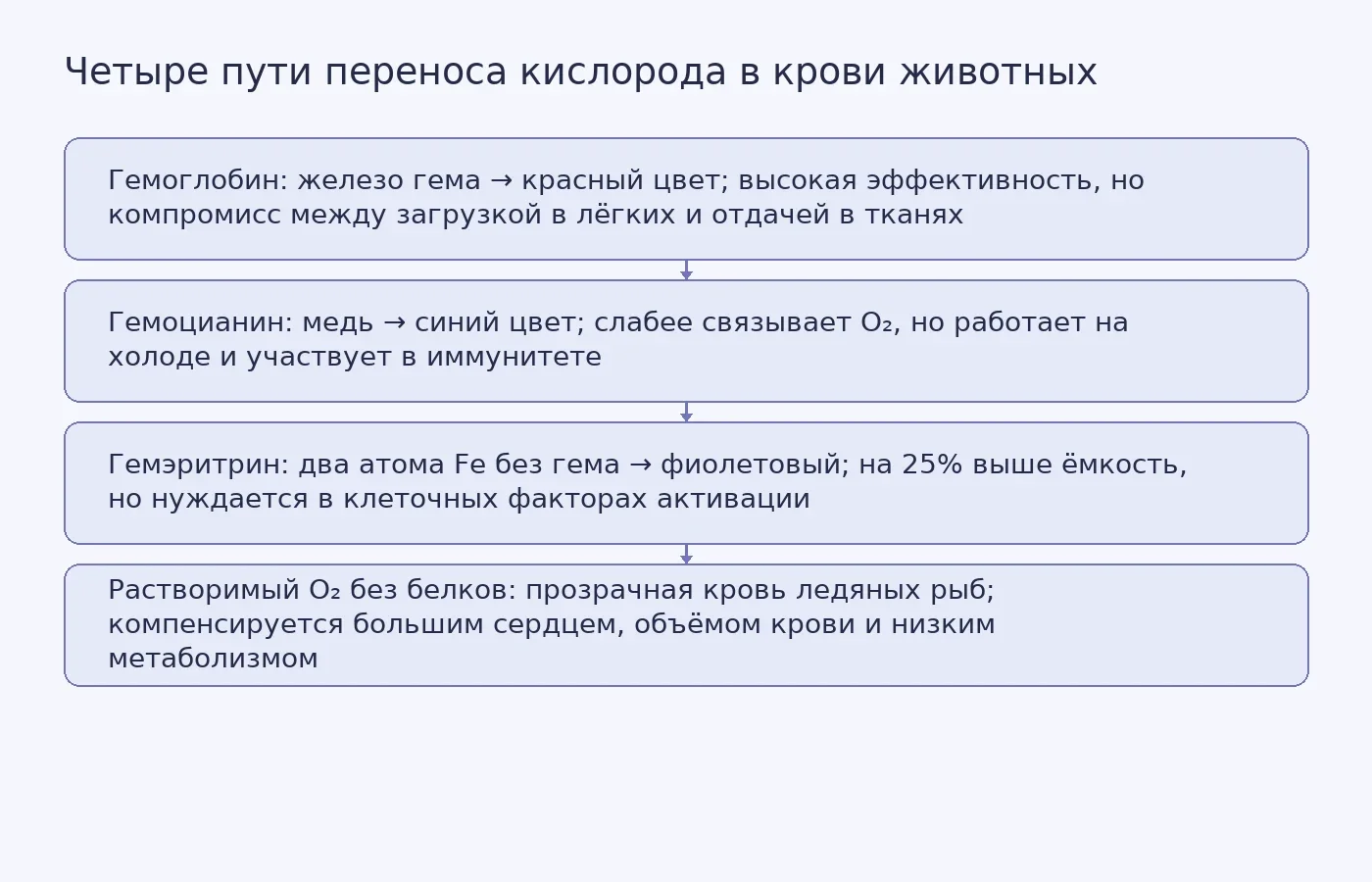Схема четырёх молекулярных механизмов переноса кислорода: гемоглобин, гемоцианин, гемэритрин и растворённый кислород — с указанием цвета крови и ключевых ограничений каждого варианта.