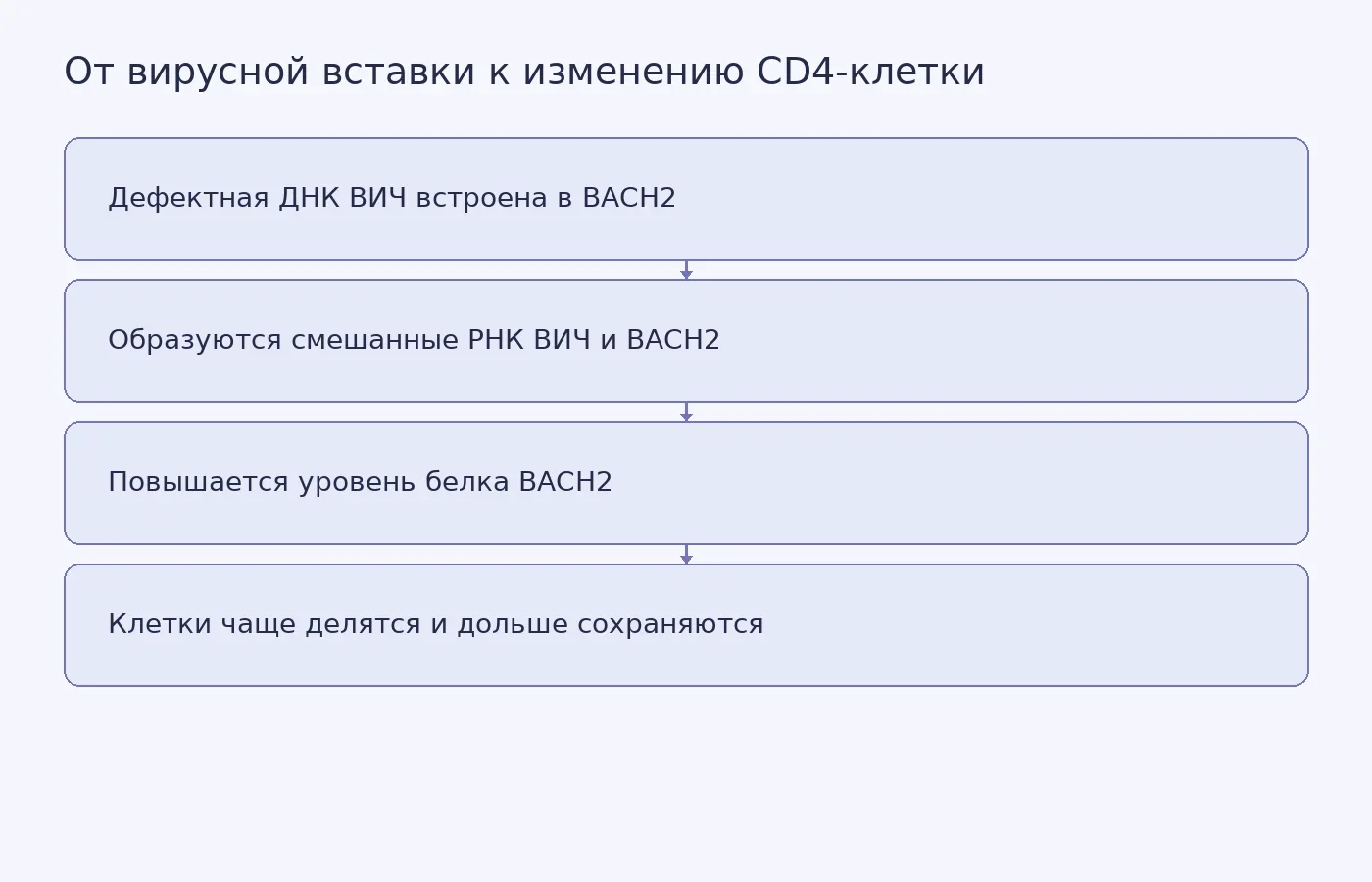 Схема предполагаемой цепочки изменений, показанной в клеточных моделях: от встроенной вирусной последовательности до усиления деления и выживания CD4-клеток.