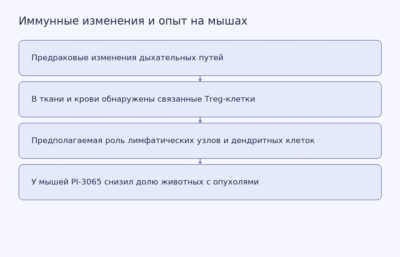 Схема показывает обнаруженную связь между предраковыми изменениями и регуляторными Т-клетками, предложенную авторами модель иммунного механизма и отдельный доклинический результат на мышах. Она не изображает готовый тест или лечение для людей.