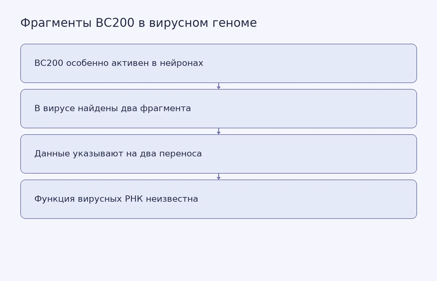 Схема показывает, что два фрагмента BC200 обнаружили в геноме вируса, генетические признаки указывают на отдельные переносы, а роль вирусных РНК пока не установлена.