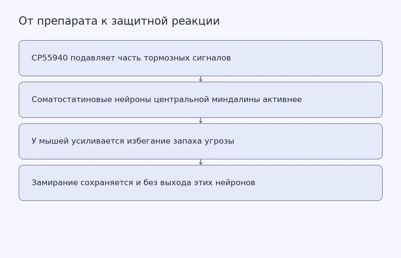 Схема показывает предложенную цепочку от действия синтетического каннабиноида к усилению избегания у мышей и отмечает, что блокировка выхода соматостатиновых нейронов не устранила замирание.