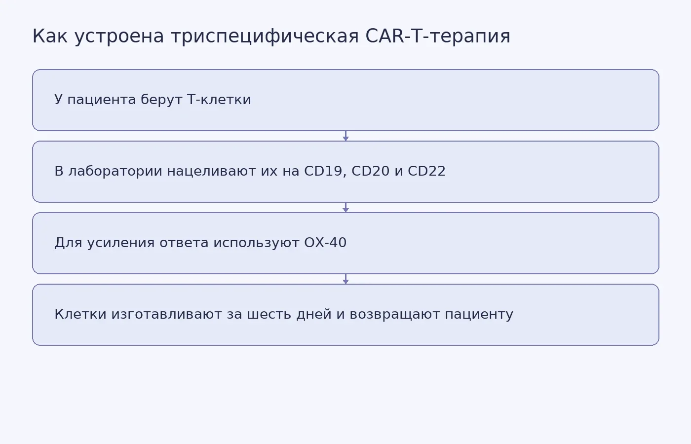 Схема показывает основные этапы CAR-T-терапии и белки-мишени, а не результаты лечения.