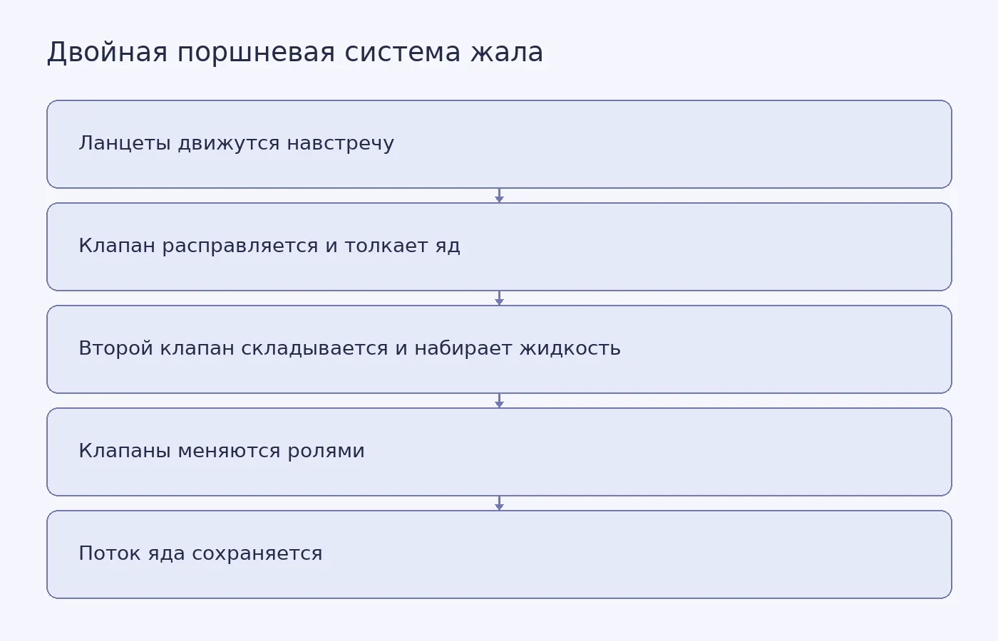 Схема показывает, как два подвижных ланцета с деформируемыми клапанами поочерёдно создают давление и поддерживают поток яда в камере жала