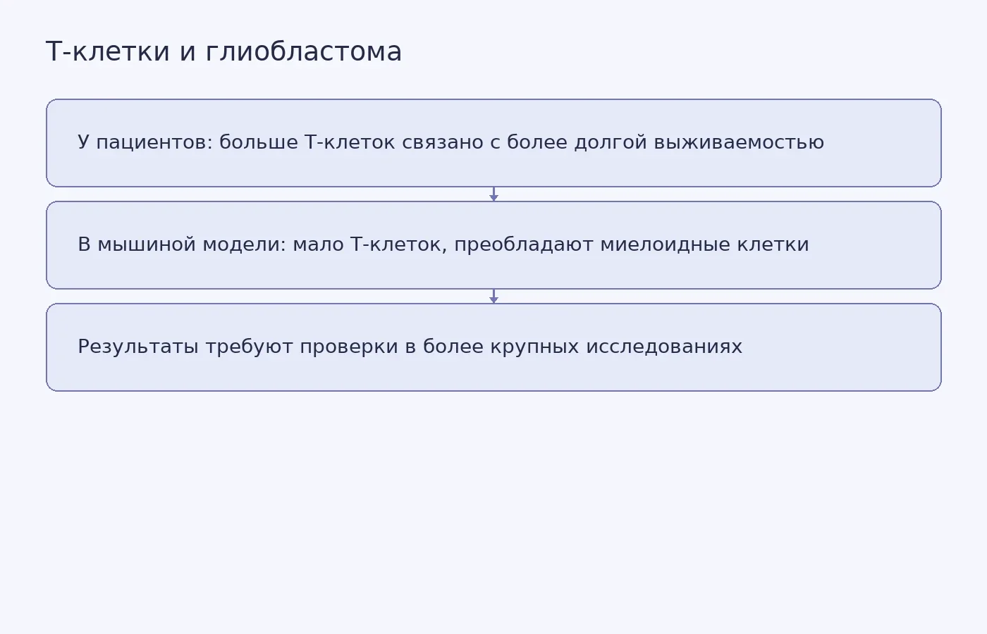 Схема сопоставляет связь плотности T-клеток с выживаемостью в клиническом исследовании и иммунные особенности новой мышиной модели