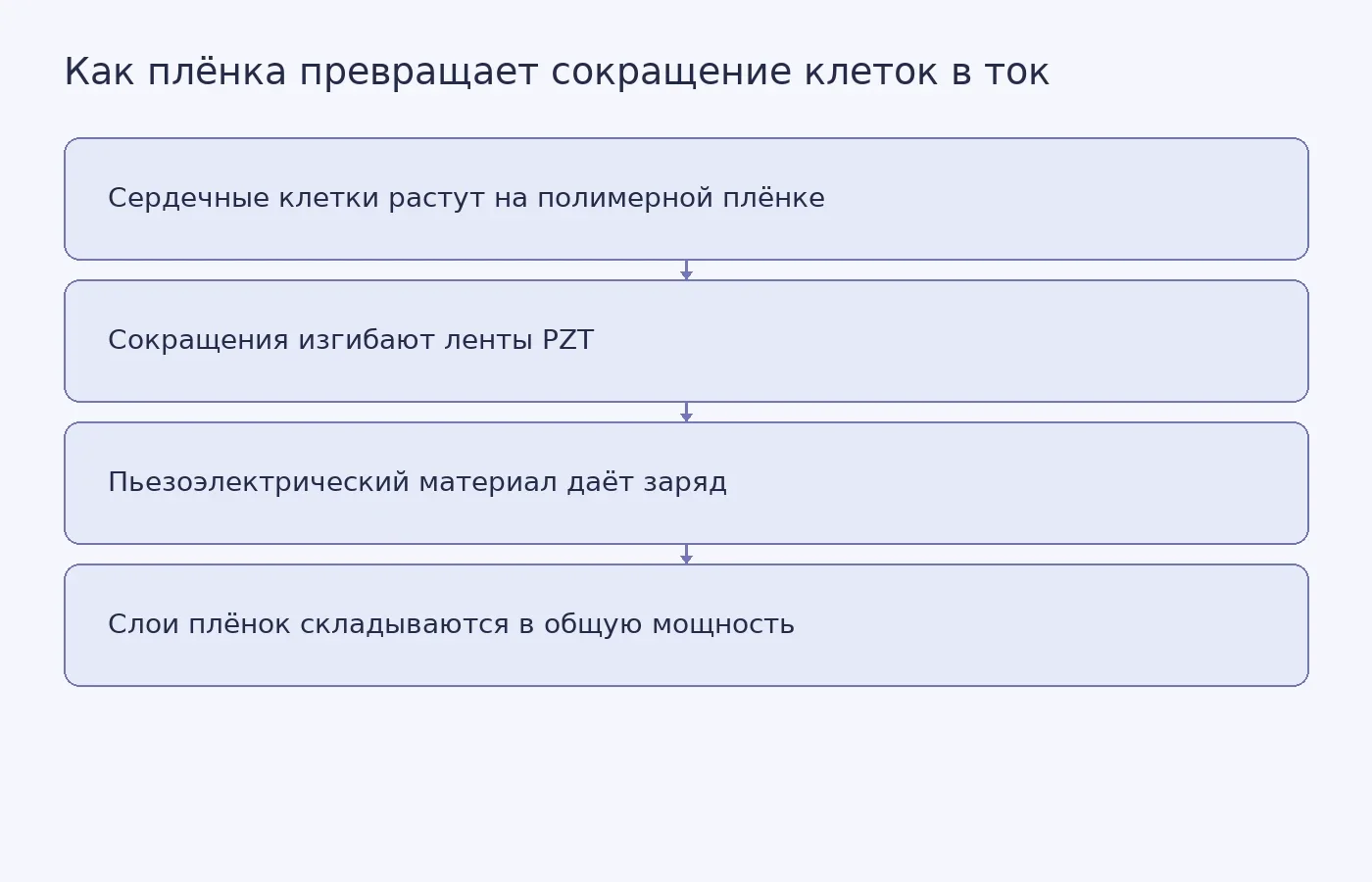 Схема: сердечные клетки на полимерной плёнке сокращаются, изгибают пьезоэлектрические ленты PZT, те вырабатывают заряд, а несколько слоёв плёнки суммируют мощность