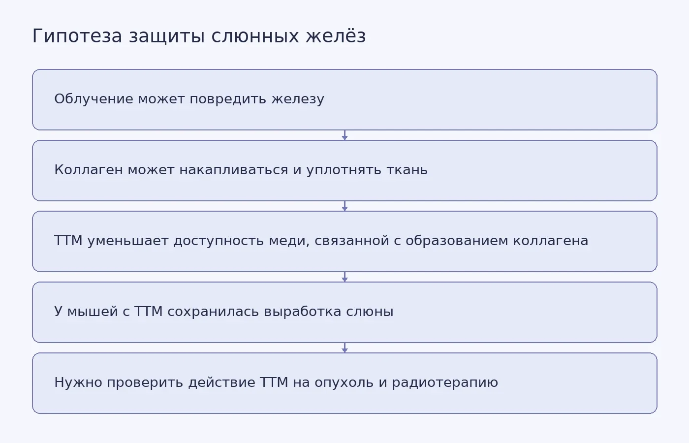 Концептуальная схема предполагаемого пути от облучения и накопления коллагена к снижению выработки слюны, возможного действия TTM и проверки противоопухолевой эффективности