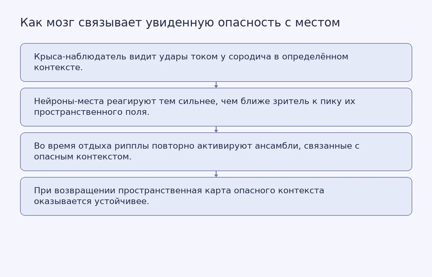 Схема наблюдательного обучения страху у крыс: от наблюдения за стрессом сородича через реакцию клеток-мест к переактивации во сне и стабилизации пространственной карты.