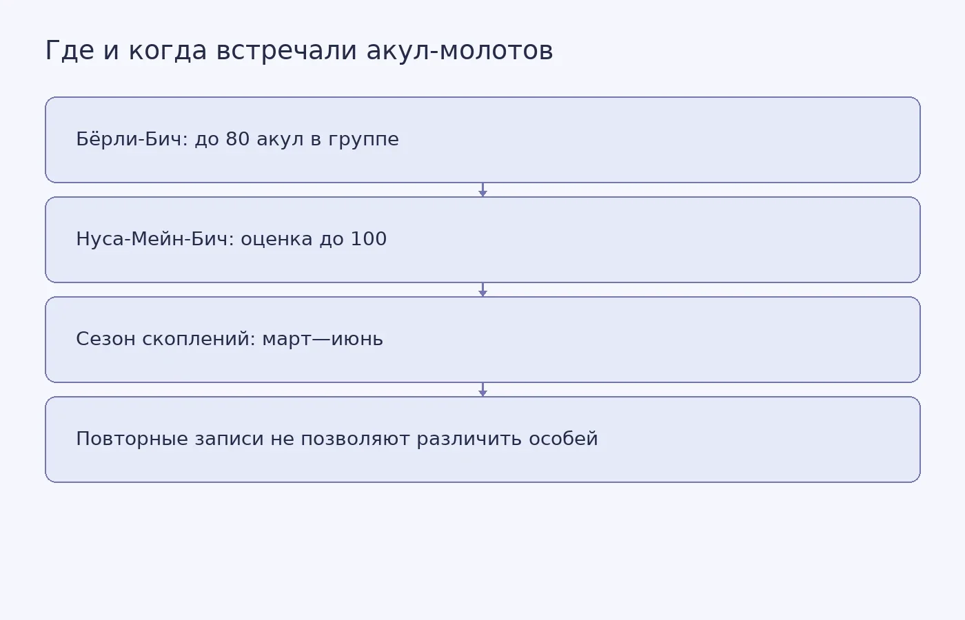 Схема показывает два участка скоплений молодых акул в Квинсленде, сезон наблюдений и ограничение данных: повторные встречи могли относиться к одним и тем же животным.