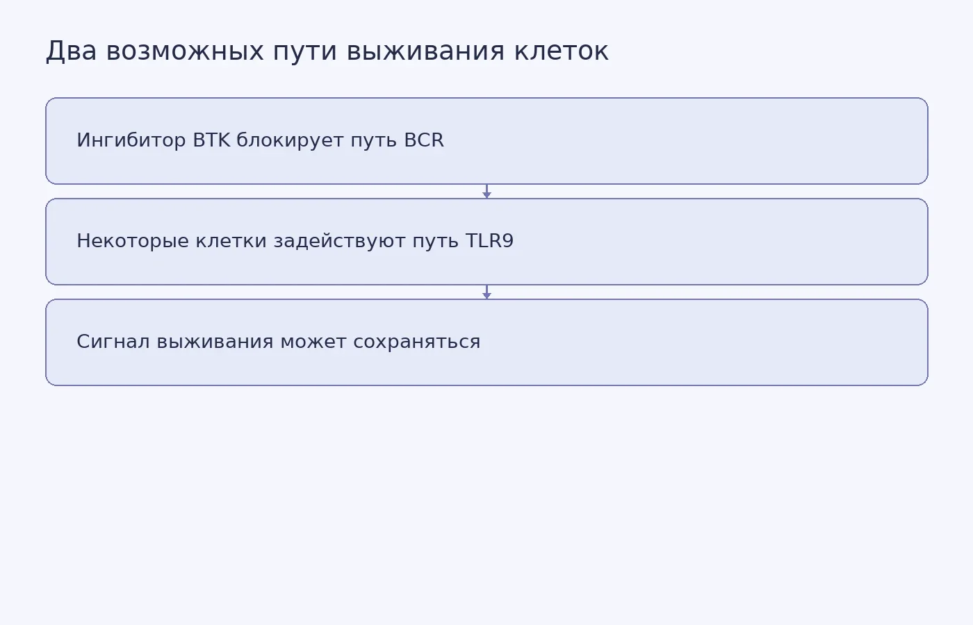 Схема возможного переключения клеток хронического лимфолейкоза с пути BCR на путь TLR9 при блокировке BTK; она поясняет механизм исследования, а не показывает клинический результат