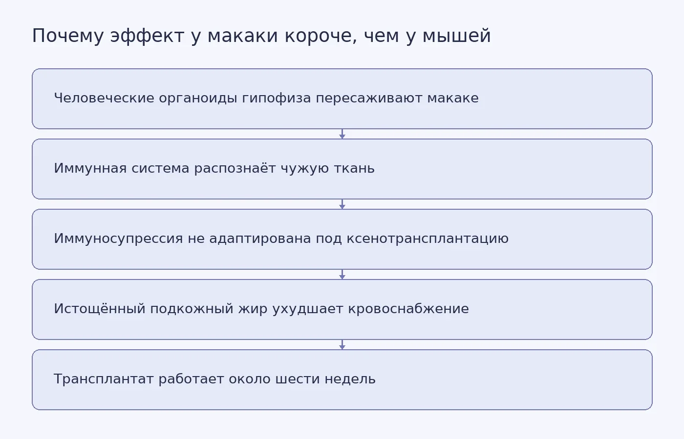 Схема причин, ограничивших работу пересаженной ткани гипофиза у макаки