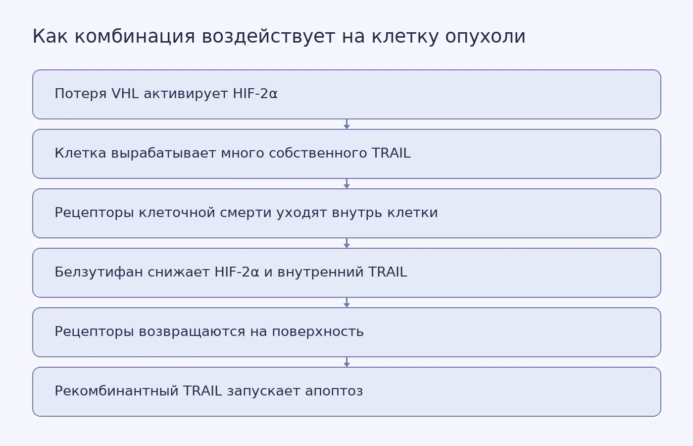 Схема механизма: потеря VHL активирует HIF-2α и прячет рецепторы клеточной смерти внутри опухолевой клетки, а белзутифан возвращает их на поверхность, где TRAIL может запустить апоптоз