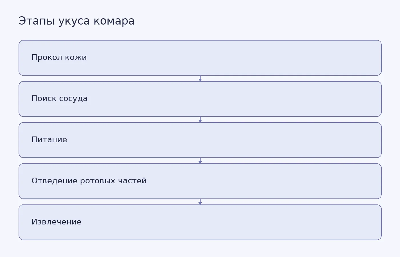 Схема пяти этапов укуса, выделенных по видеозаписям и косвенным электрическим измерениям