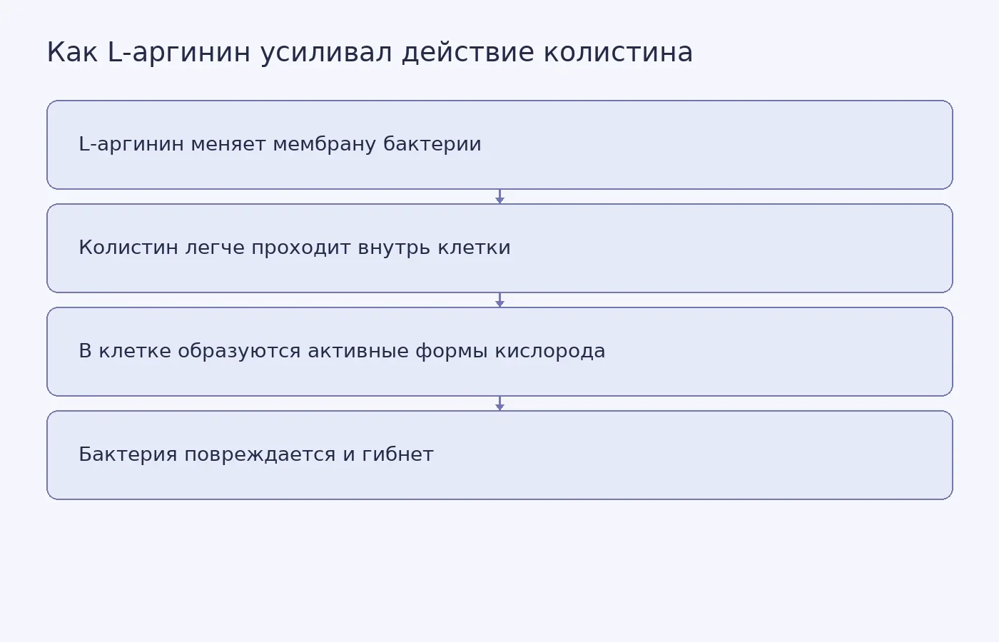 Схема предполагаемого механизма действия сочетания L-аргинина и колистина на устойчивую бактерию