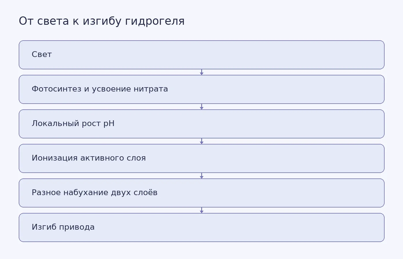 Схема показывает причинную цепочку от освещения микроводорослей через изменение локального pH и разное набухание слоёв гидрогеля к обратимому изгибу мягкого привода.