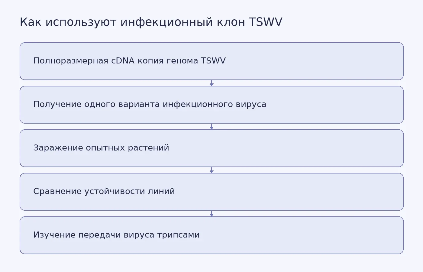 Схема показывает путь от cDNA-клона TSWV до сравнения устойчивости растений и исследований передачи вируса трипсами