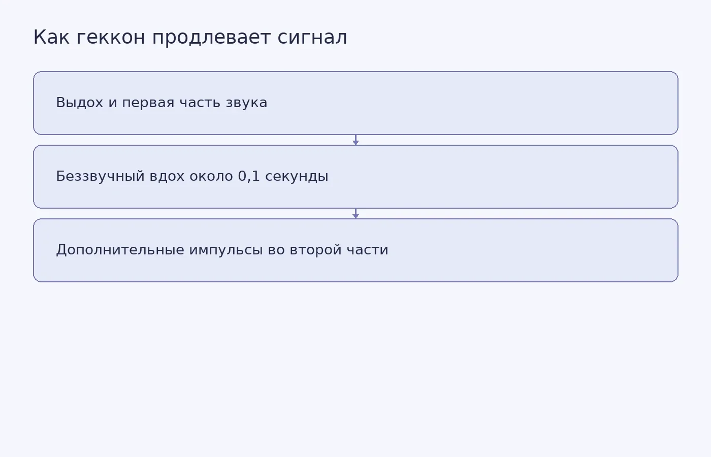 Схема показывает два возможных способа продлить сигнал токайского геккона: вдох между частями и дополнительные импульсы в конце второй части.