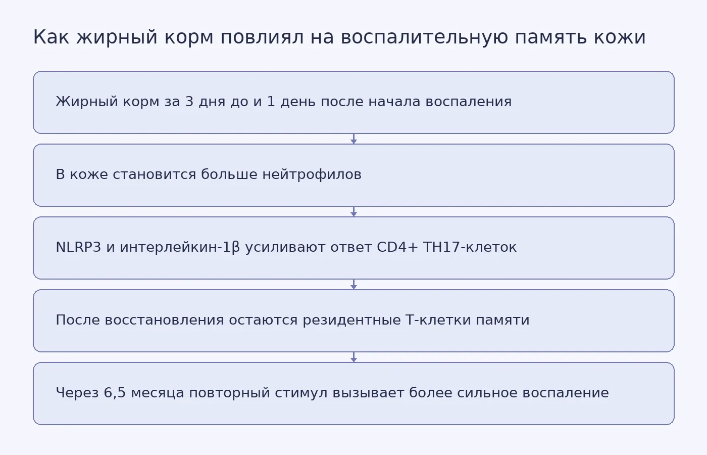 Схема показывает, как жирный корм в четырёхдневное окно вокруг начала воспаления связан с усиленной воспалительной реакцией кожи у мышей через 6,5 месяца.