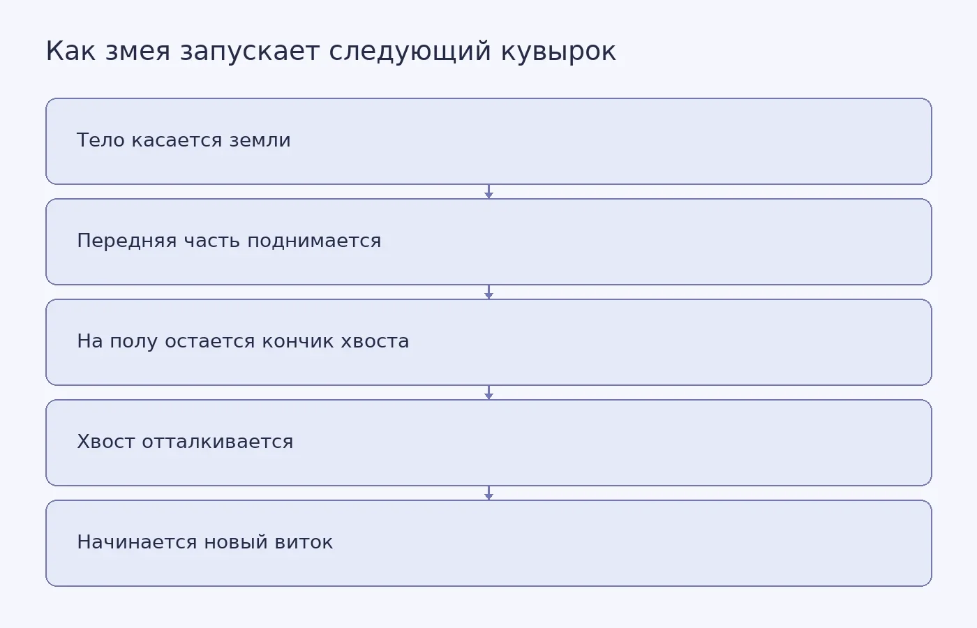 Схема последовательности движений змеи Pseudorabdion во время быстрого кувырка
