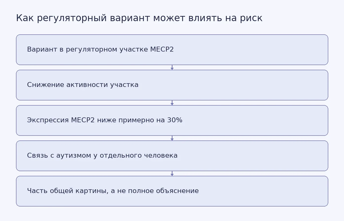 Схема показывает путь от варианта регуляторного участка MECP2 к снижению экспрессии гена и его возможной связи с аутизмом у мужчин