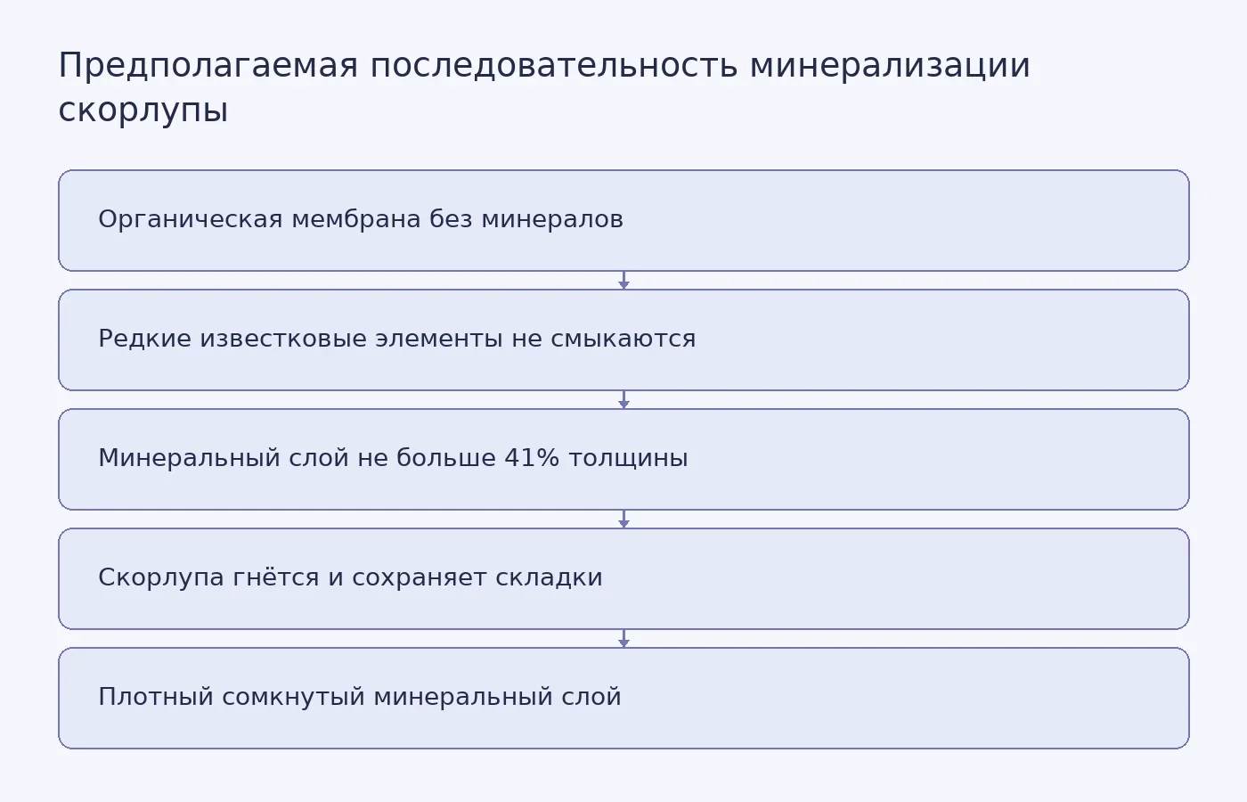 Схема перехода от мягкой органической оболочки яйца к плотной минерализованной скорлупе в интерпретации авторов