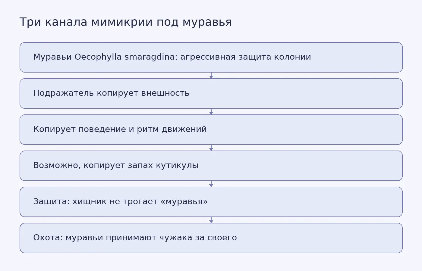 Схема показывает, как один образ муравья через три канала подражания даёт подражателю две разные выгоды: защиту от хищников и доступ к муравьям и их потомству.