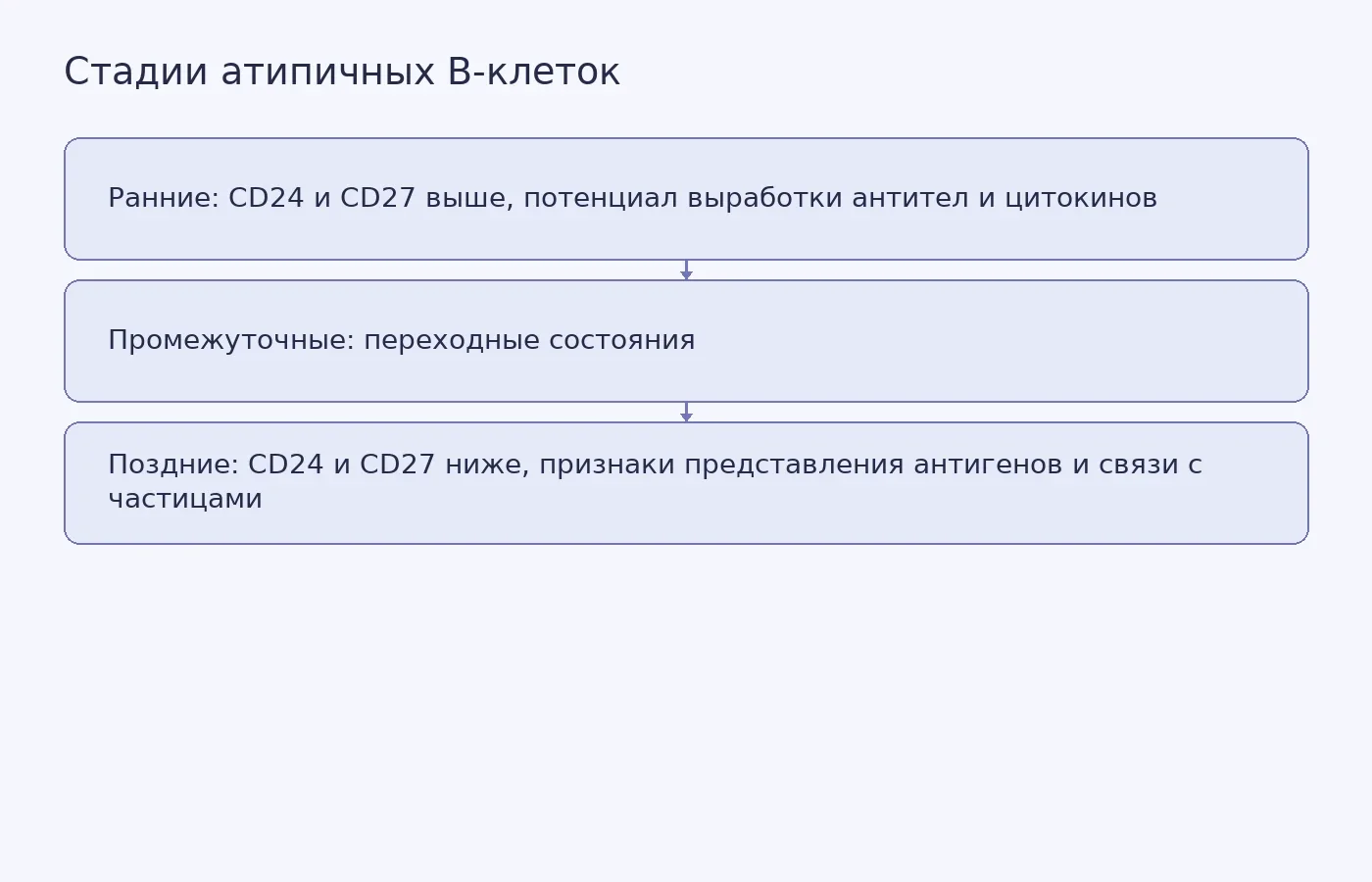 Схема показывает постепенное изменение маркеров и функций атипичных B-клеток; она не означает, что все клетки проходят одну линейную траекторию.